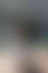 Romantic March Wedding in Boston