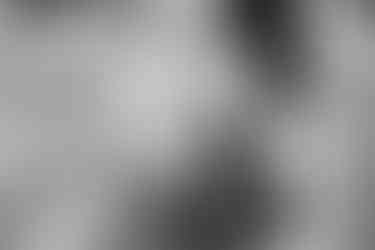 Romantic Wedding at The Langham, Boston