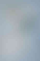 Romantic March Wedding in Boston