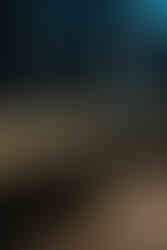 State Room Boston Wedding