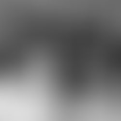 Romantic March Wedding in Boston