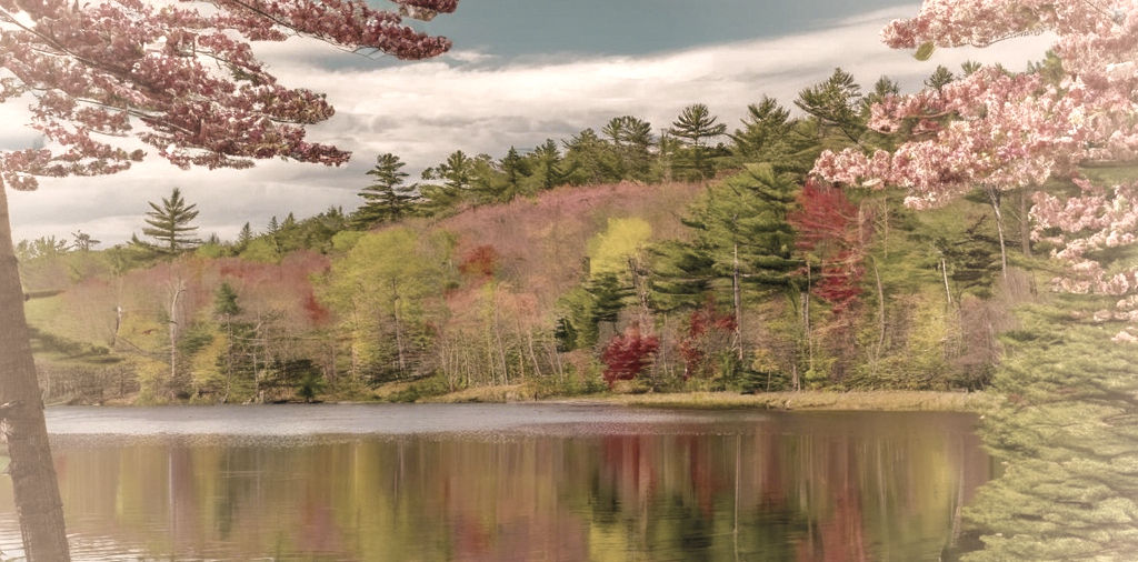 Spring in the New hampshire Lakes region