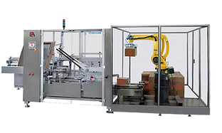 KP15 Casepacker-Palletizer.png