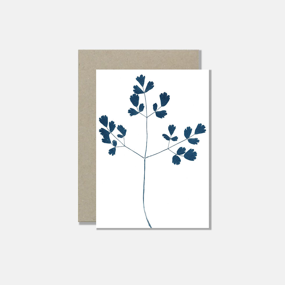 Miniaturbild: Postkartenserie