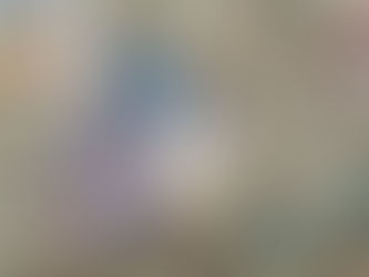 La DGI fixe le taux de change des revenus en monnaies étrangères pour 2025