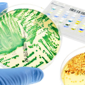 “Antibiotiques, la fin du miracle ?” : l’enquête choc d’Arte qui fait monter la fièvre