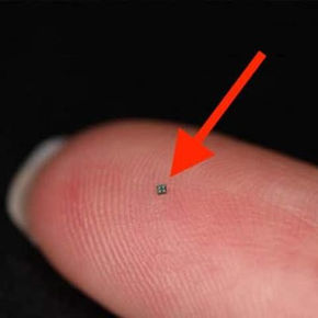 La taille de la plus petite caméra vidéo jamais fabriquée fait froid dans le dos
