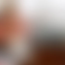 Mary Higgins Clark est morte, la romancière avait 92 ans