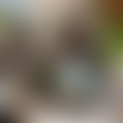 Hôtel-Restaurant LE FLOUKA 