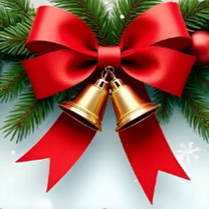 Pointe Noire Accueil vous souhaite de bonnes fêtes de fin d'année