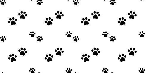 pattes de chiens.jpg