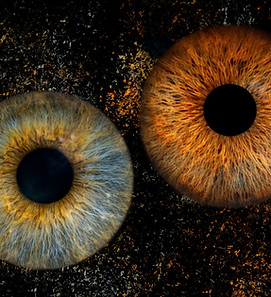 iris,Macro.jpeg