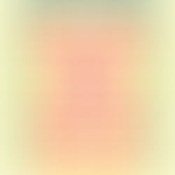 Nieuws | Affiche Cactus Festival 2026 Compleet