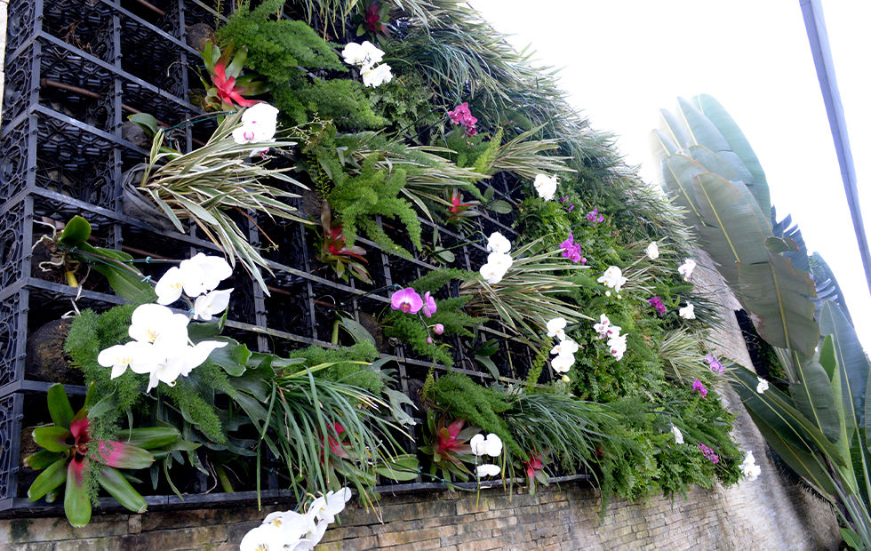 Jardins Verticais