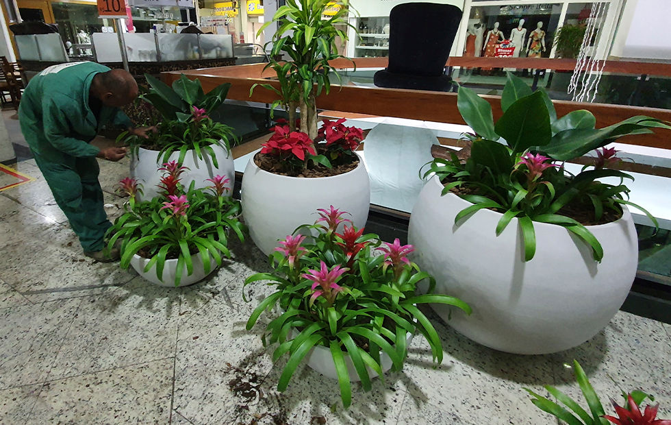 Paisagismo para Shoppings