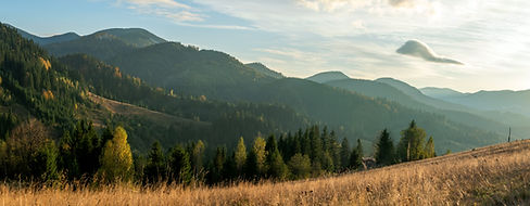 AdobeStock_298796034.jpeg