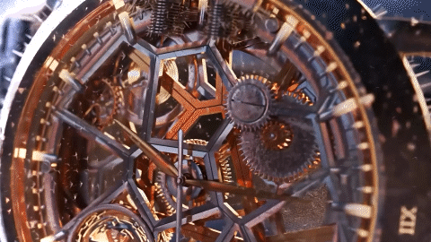 Animation Video Edited_1.gif
