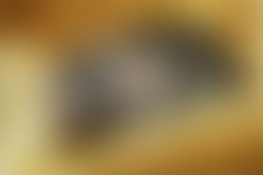 Eight Signs You Have Rodents