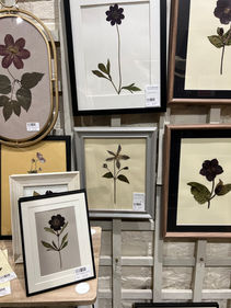 pressed framed flowers