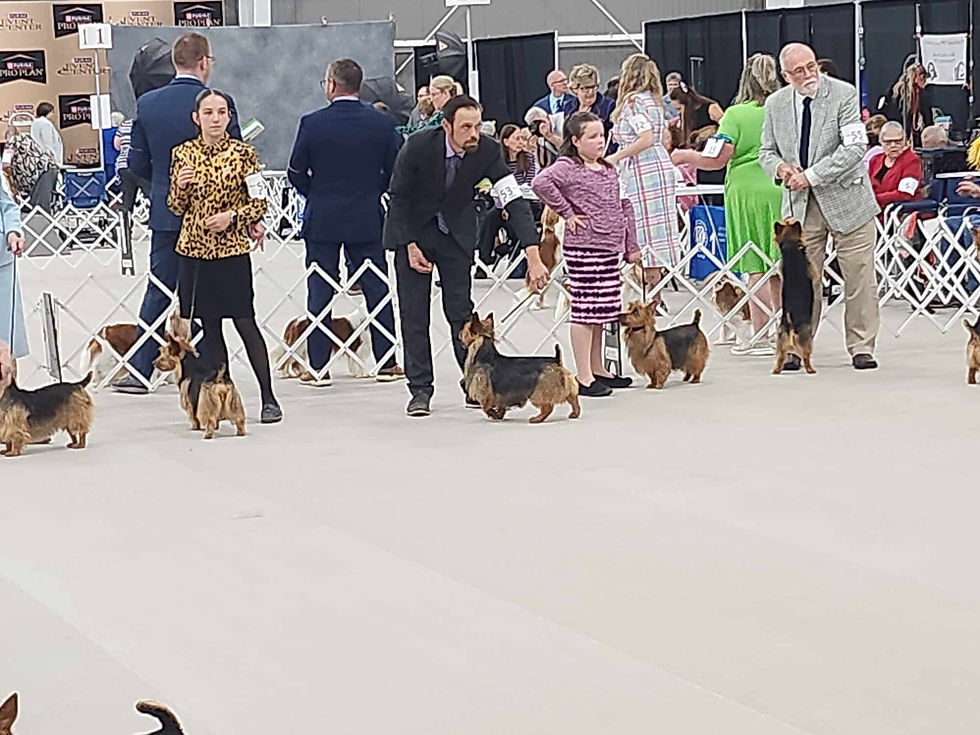 Jr Handlers