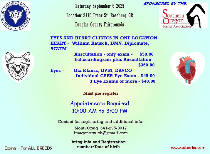 2025 Eye N Heart Clinic.jpg