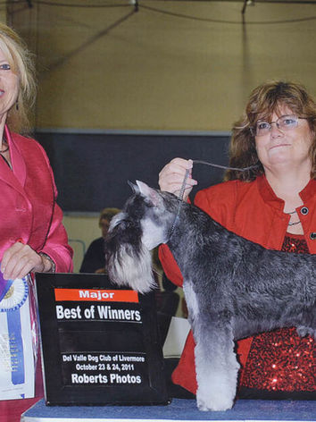 10-24-2011 Del Valley Dog show Pleasanton, CA.jpg