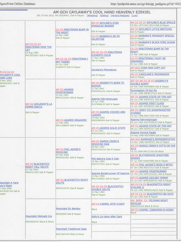 Ezekiel Full Pedigree AMSC.jpeg