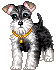 animation_56x70.gif