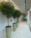 DSC_3796_edited.jpg