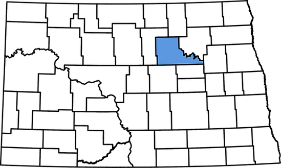 Benson County Outline.png
