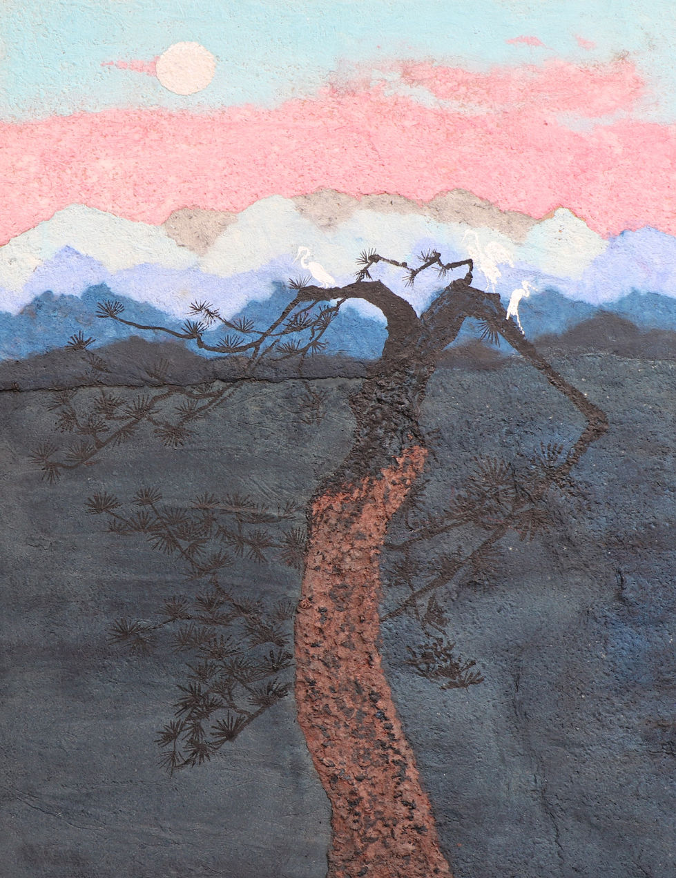 노송과 학