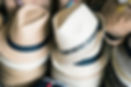 fedoras