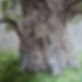 WhatsApp Image 2020-04-08 at 15.47.04 (1