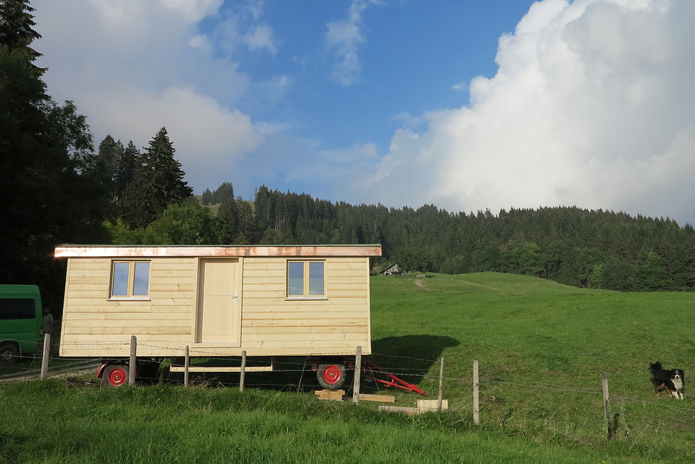 Roulotte n°23