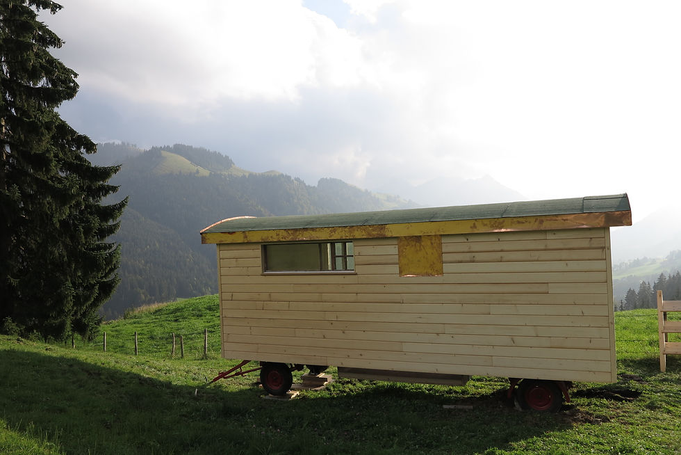 Roulotte n°23