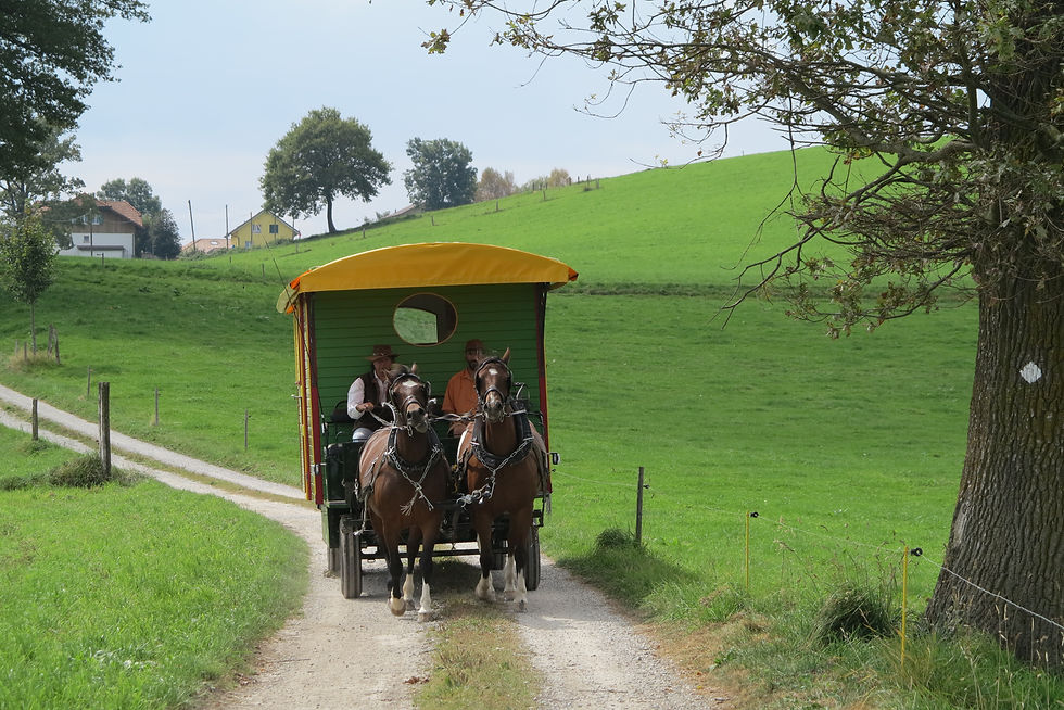 Roulotte n°22