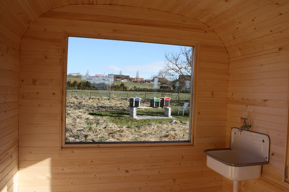 Roulotte n°12