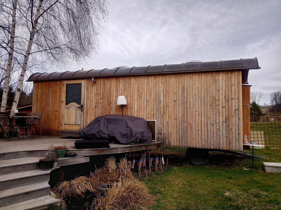 Roulotte n°31