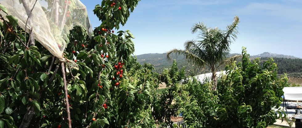 וילה בגליל למשפחות אחוזת מרלו דלתון