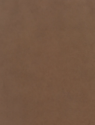 Capture5.PNG