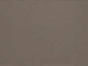 Capture3.PNG
