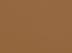 Capture4.PNG