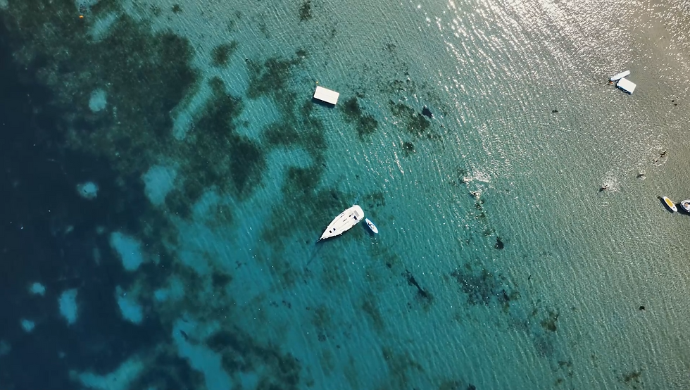Професионално сватбено видеозаснемане в Бургас от Борис Вартанян - Сватба на морето.