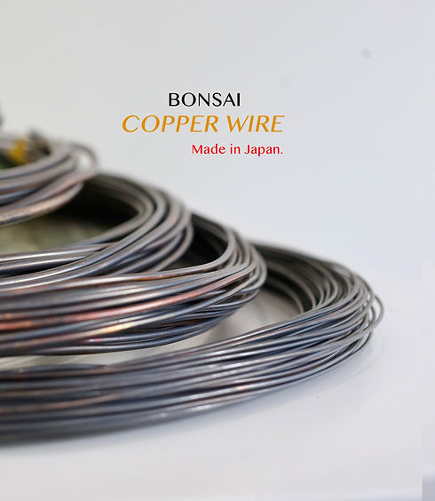 copper wire release_edited.jpg