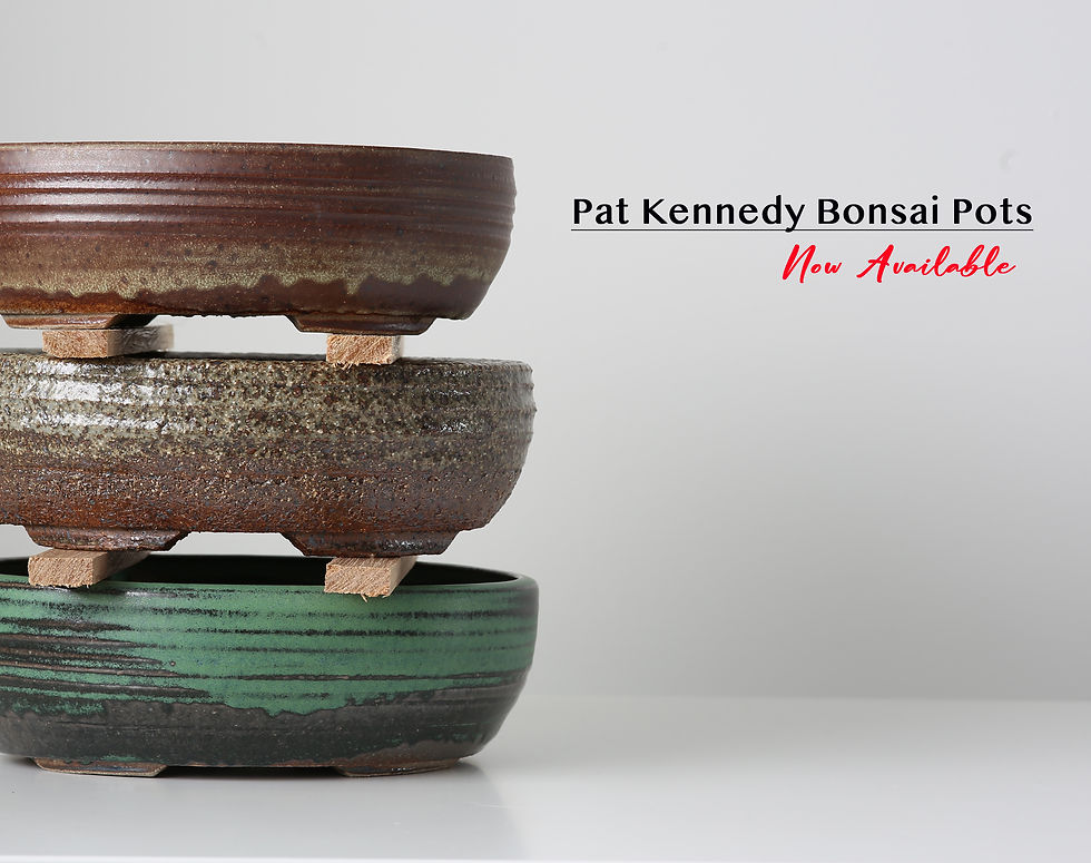 PK Pot 2024.jpg