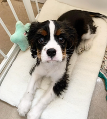 Bildschirmfoto 2022-01-08 um 18.27.18.png