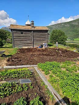 Grønnsakshagen