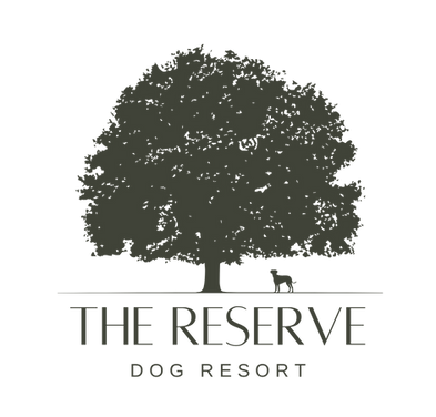 Vertical Logo2x.png