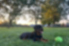 FullSizeRender_edited.jpg