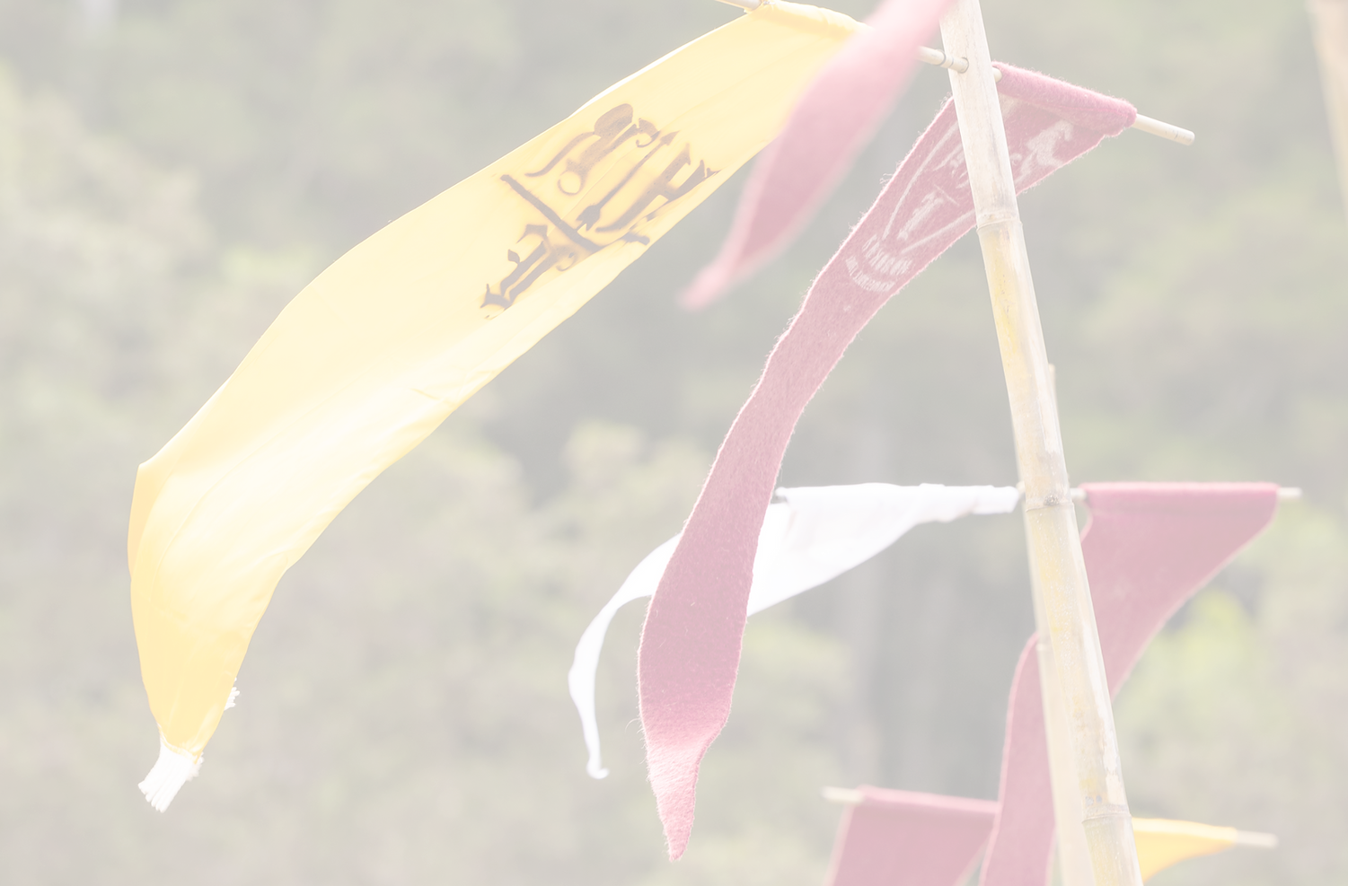 Honoka'a Renaissance Faire